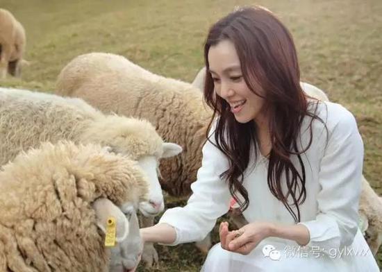 明星旅行糗事一籮筐 總有一個萌到你！