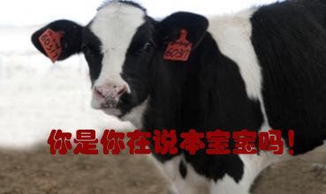 關(guān)我什么事！