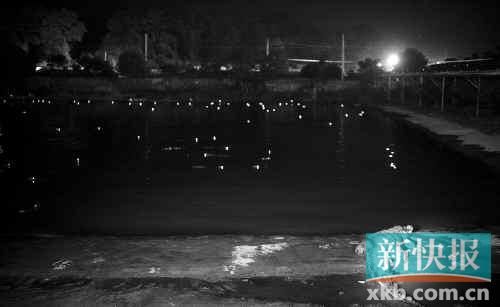 昨日，西湖村鱷魚養(yǎng)殖場已修復(fù)圍欄。