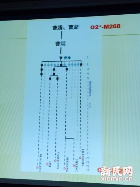 圖說：復旦課題組發(fā)布曹操家族DNA研究結果。新民網(wǎng) 記者 李欣 攝