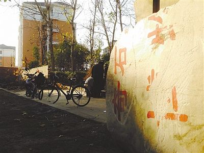 昨日，“上海奇石盆景博物館”原址上，已矗立起小區樓盤，而刻著博物館名的巨石，廢棄在一旁。本版圖片/新京報記者 張永生 攝