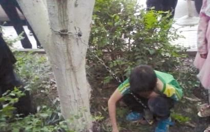 男孩被父親用鐵鏈鎖在小區樹上。（網友供圖）