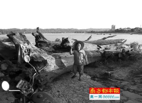 商人自費(fèi)打撈55噸烏木 遭村民舉報后被警方暫扣