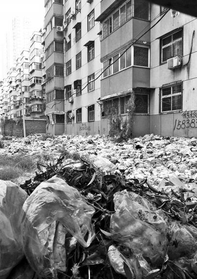透過擋板縫向內看，30多米垃圾已經將居民樓包圍。