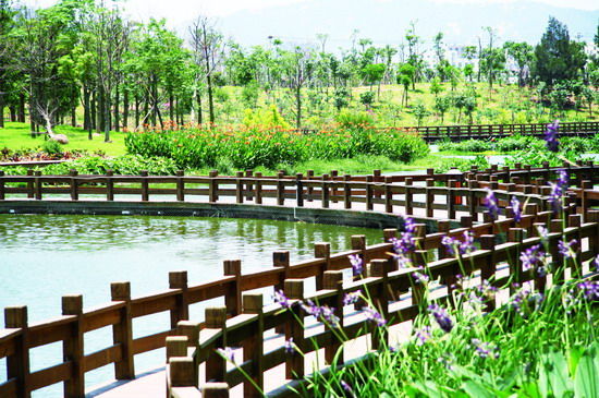 樂享綠色夏日 濕地公園生態親水之旅