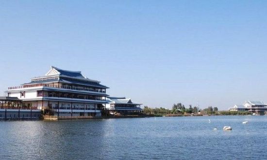 樂享綠色夏日 濕地公園生態親水之旅