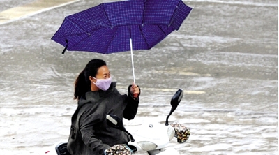 昨日下午，隴海路上，雨中風大，一位女士的傘被吹翻了。