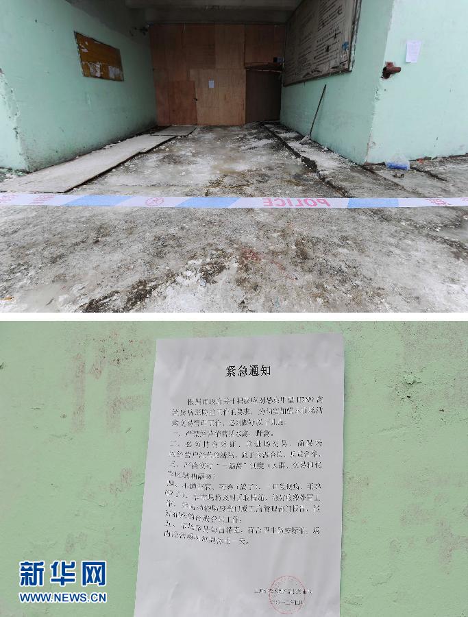 上海6日起暫?；钋萁灰?關閉所有活禽交易市場