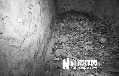 　5月29日，在以色列特拉維夫市雅法地區(qū)，一處集體墳?zāi)贡话l(fā)現(xiàn)。