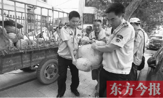 昨日，鄭州金水區(qū)執(zhí)法局的執(zhí)法隊員捐錢買瓜，替瓜農(nóng)解憂