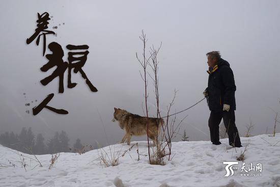 7旬老人養150匹野狼 伙食費1年花近百萬