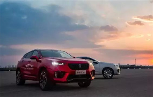 去年“蹦”出來的新汽車品牌們，現(xiàn)在活得怎么樣了？