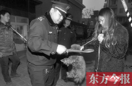 12月3日早上6點半，鄭州市南關(guān)街熊兒河旁，南關(guān)街辦事處的執(zhí)法人員對狗進(jìn)行排查
