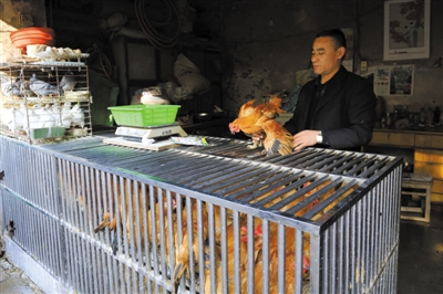 南京另一家農(nóng)貿(mào)市場內(nèi)待售的活雞。因南京出現(xiàn)H7N9禽流病例，買活雞的顧客減少。