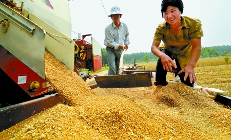 6月3日， 濮陽開發(fā)區(qū)胡村鄉(xiāng)后范莊村的續(xù)秀萍看著新打的粒大飽滿的小麥喜上眉梢。