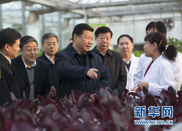  27日下午，習(xí)近平在山東省農(nóng)業(yè)科學(xué)院智能化溫室了解農(nóng)業(yè)科技創(chuàng)新情況。