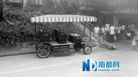 園方則稱解剖后發(fā)現(xiàn)馬死于心臟衰竭，“與累無(wú)關(guān)”。