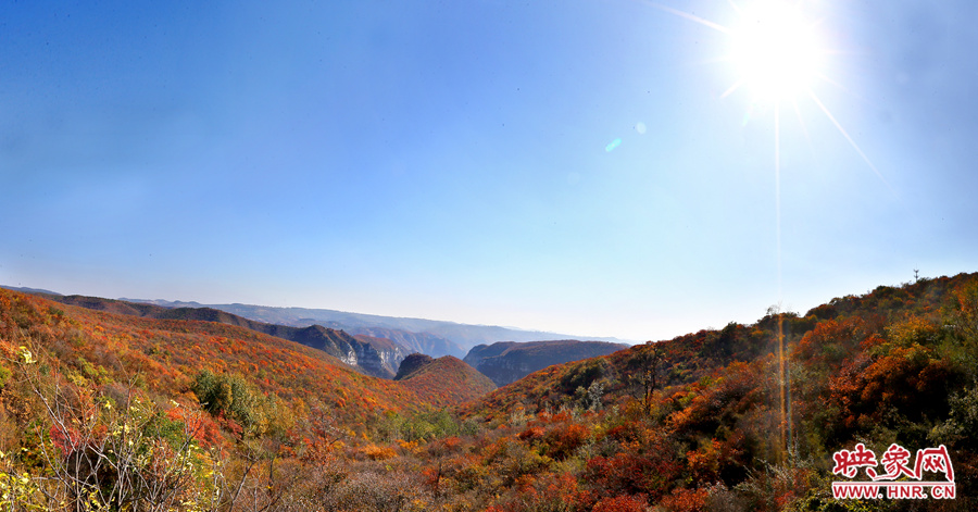 山頂遠眺，紅葉已經(jīng)綻放出絢麗的色彩