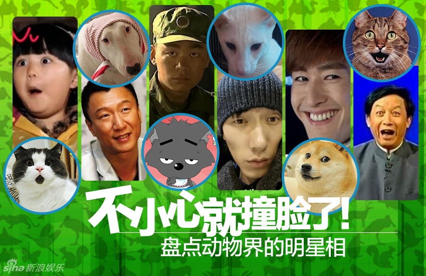 不小心就撞臉了！盤點(diǎn)動物界的明星相