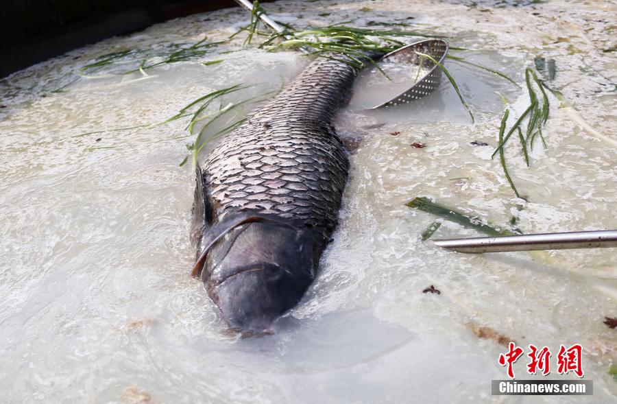 “魚王”在3米大鍋內(nèi)烹飪。 圖片來源：CFP視覺中國