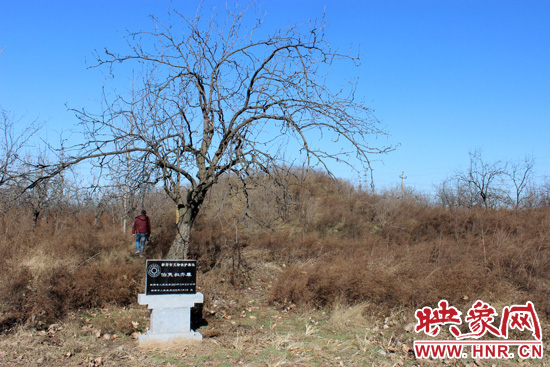 在叔齊墓的前面，豎著新鄭市人民政府今年剛立的石碑，上面寫(xiě)著“新鄭市文物保護(hù)單位”。