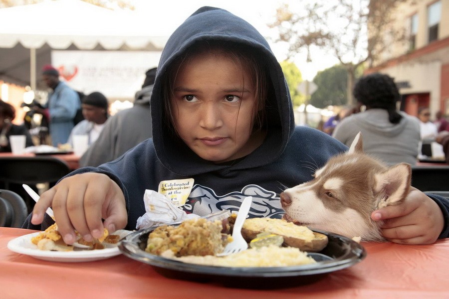 11月21日，加州洛杉磯的游民巷，12歲的堂娜·赫南德茲抱著愛犬“湯米”，安靜地吃著免費(fèi)的感恩節(jié)飯菜