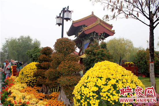 天好、花美 中國(guó)開(kāi)封第32屆菊花文化節(jié)延長(zhǎng)一周