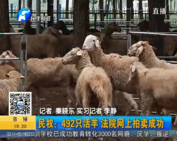民權法院網上拍賣羊群