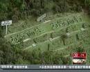 “垃圾場”拍婚紗：玩噱頭還是做環保？