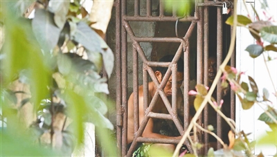 美聯社記者揭東南亞漁業奴隸：關鐵籠 被虐打