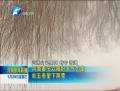 河南春節以晴好天氣為主 初五有望下雨雪
