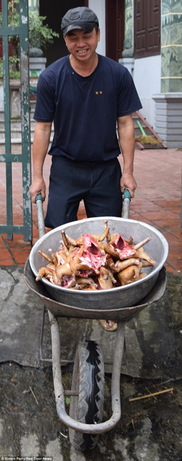 越南貓肉餐廳：將貓淹死、剝皮、切成小塊，再油炸